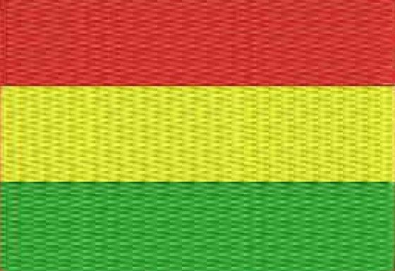 Tapete Barbante Bandeira Bolivia 70cm(retangular ou oval)